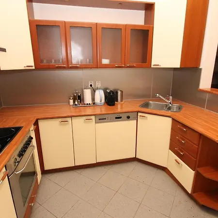 Apartment Zizka *