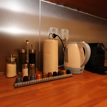 Zizka Apartment