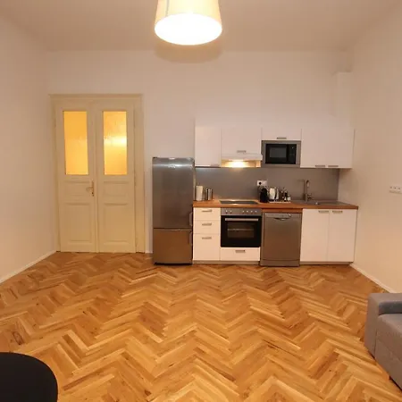 Zizka Apartment *